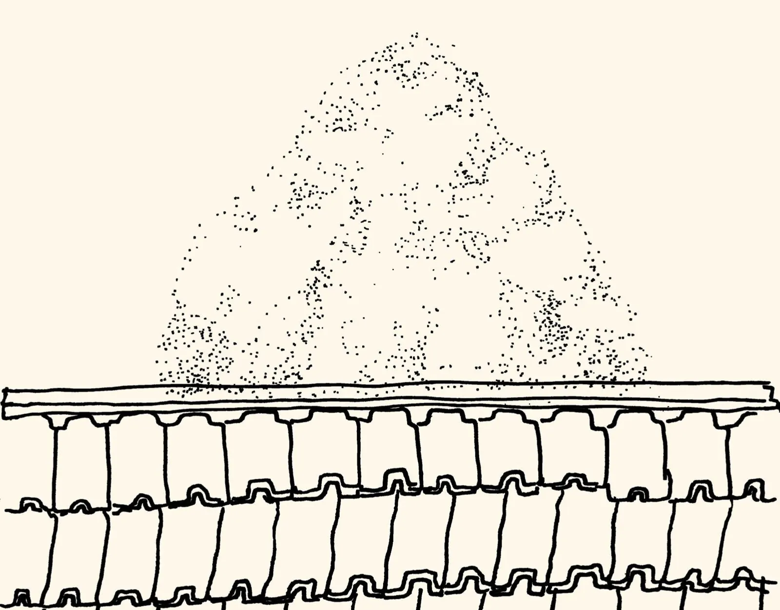 Obra de Virgínia Rigotti — Desenhos